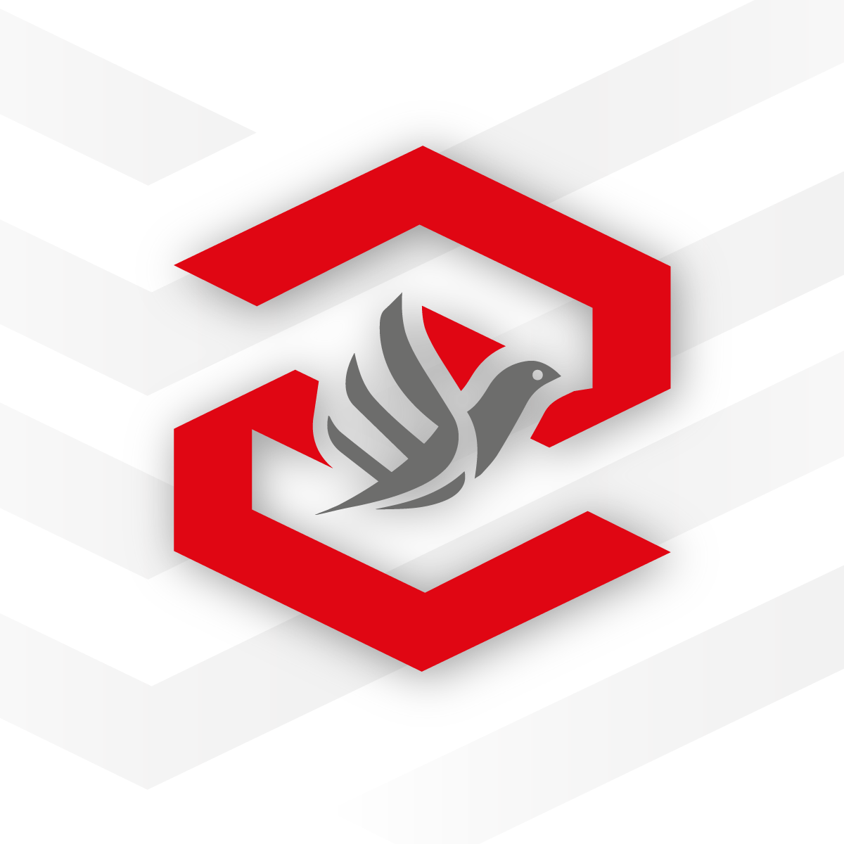 COOPERATIVA ANGAHUANA